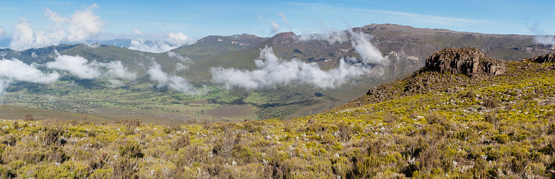 African mountain biodiversity data survey